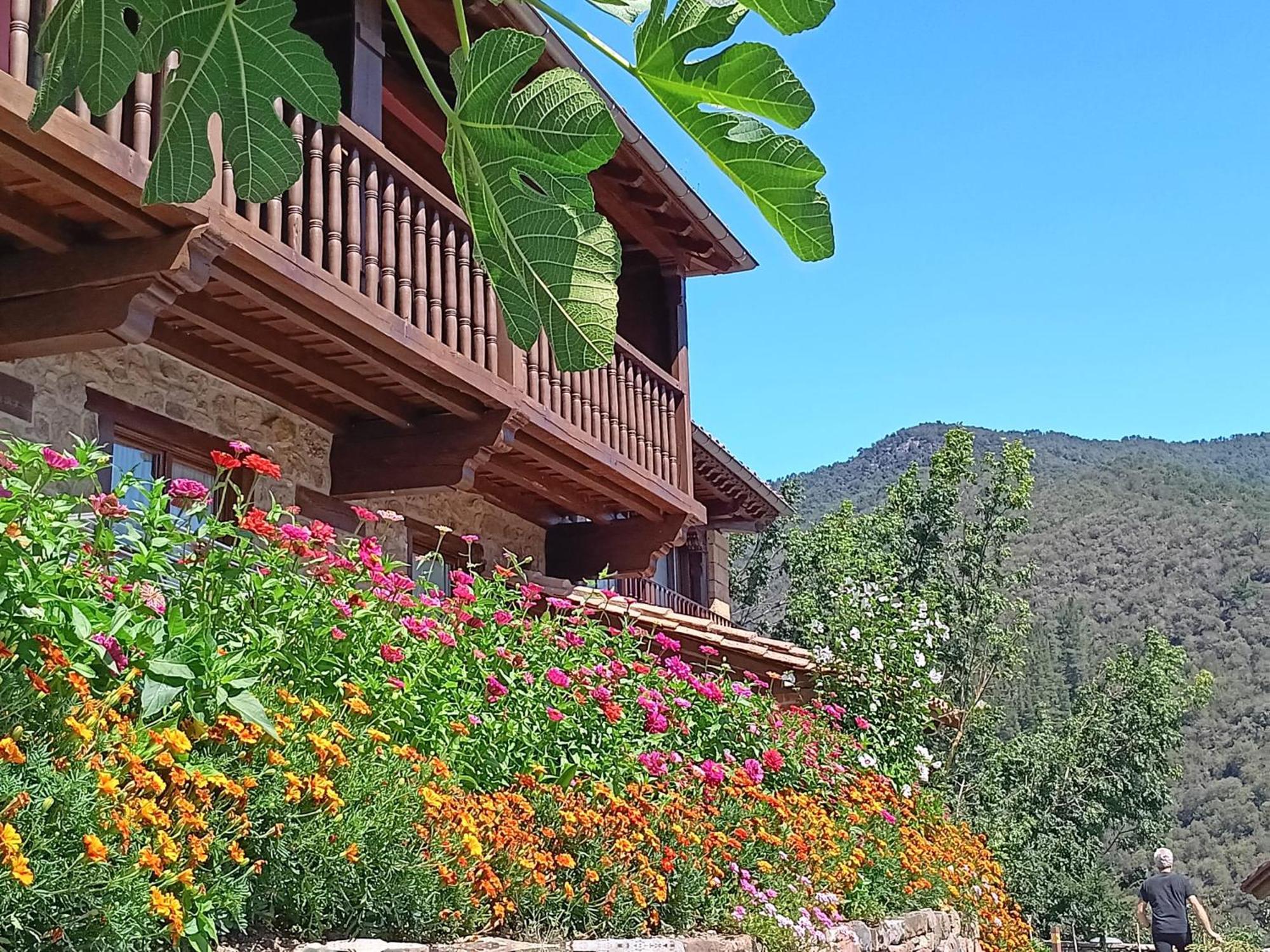 Apartamentos Calm & Nature - Adults Only Cabezón de Liébana Exteriör bild