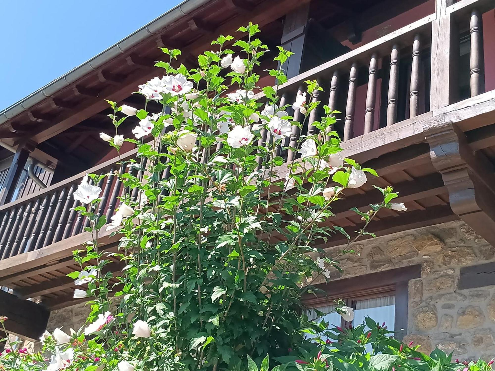 Apartamentos Calm & Nature - Adults Only Cabezón de Liébana Exteriör bild